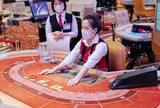 Chủ Casino Hoàng Gia tiếp tục báo lỗ