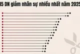 Lộ diện những 'ông lớn' giảm nhân sự nhiều nhất năm 2025: Nhóm ngân hàng áp đảo, Golden Gate, Viettel Post, Hòa Phát... giảm hàng nghìn người