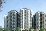 Đề xuất miễn tiền đất, vay vốn siêu rẻ làm nhà cho thuê