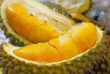 Đề xuất rút ngắn thời gian cấp mã số vùng trồng