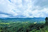 Quảng Ngãi: Cho phép khai thác hơn 40ha rừng để đầu tư khu đô thị Măng Đen