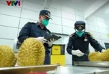 Cắt giảm nhiều thủ tục phân loại hàng hóa xuất nhập khẩu từ ngày 15/9