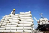 Giá gạo xuất khẩu duy trì ở mức cao