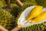 Sau Trung Quốc, Việt Nam chính thức khai phá 'mỏ vàng' sầu riêng 1,4 tỷ dân: Thái Lan, Malaysia cũng đang chạy đua