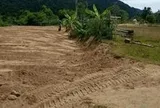San đất để làm vườn, người dân Việt Nam phát hiện vật hình hộp màu xanh lạ, chuyên gia xác nhận báu vật hiếm có 600 năm   tuổi