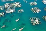 Mỹ, Trung Quốc đua nhau mua một ‘mỏ vàng' của Việt Nam: Vừa thu về hơn 2,8 tỷ USD, nước ta đứng thứ 2 thế giới