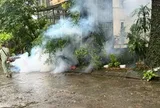 Hà Nội ghi nhận hơn 300 ca sốt xuất huyết trong một tuần