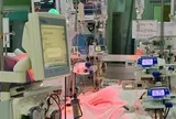 Hai người trẻ nguy kịch vì sốt xuất huyết, chi phí điều trị tiền tỷ