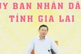 Gia Lai: Đẩy nhanh giải phóng mặt bằng cao tốc Quy Nhơn-Pleiku