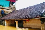 Hà Nội: Ngập gần tới mái nhà, người dân tất tả chạy lũ
