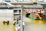 TPHCM: Các dự án chống ngập “chạy” nước rút