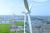KOS giải trình 5 phiên giảm sàn, cập nhật diễn biến hoạt động kinh doanh