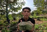 Thu nhập của Sang Vlog