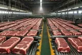 Hàng trăm nghìn tấn thịt lợn ngoại ồ ạt tràn vào Việt Nam, giá rẻ không tưởng chỉ 45.000 đồng/kg