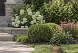Ngay cả chó cũng có quyền riêng tư: Google Street View bất ngờ làm mờ mặt cún cưng khiến dân mạng bật cười