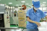 SGI Holdings thành công gom thêm hơn 1,2 triệu cổ phiếu Bông Bạch Tuyết