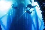 Lặn sâu 200m, phát hiện "hiện tượng kinh ngạc" ngay dưới chân giàn khoan khổng lồ