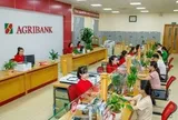 Agribank giảm lãi suất cho vay tới 2%/năm, hỗ trợ người dân và doanh nghiệp