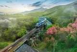 Siêu dự án đường sắt gần 290.000 tỷ đồng qua tỉnh Phú Thọ có thông tin mới