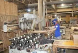 Gỗ Thuận An còn 3 tỷ đồng tiền mặt, đầu tư ngắn hạn chiếm 72% tài sản