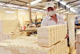 50 mặt hàng của Việt Nam có nguy cơ bị điều tra phòng vệ thương mại