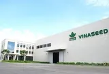 Lợi nhuận quý III giảm gần một nửa, thu nhập lãnh đạo Vinaseed thụt lùi