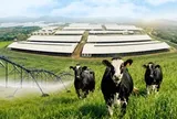 11 sản phẩm TH đạt trung hòa carbon, bước tiến nối dài trên hành trình Net Zero
