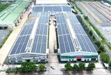 BAO BÌ HOÀNG LONG 10 NĂM TÔN VINH THƯƠNG HIỆU CỦA BẠN