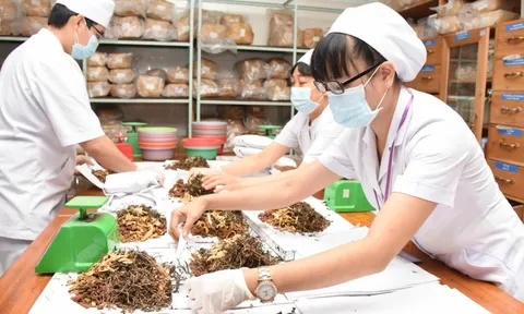 Chức năng, nhiệm vụ của Khoa y học cổ truyền trong cơ sở khám bệnh, chữa bệnh