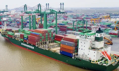 "Ông lớn" logistics Hải Phòng tiếp đà tăng trưởng trong quý III/2025