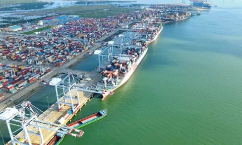 Viconship lãi 456 tỷ đồng sau 9 tháng đầu năm, tăng gần 50% so với cùng kỳ