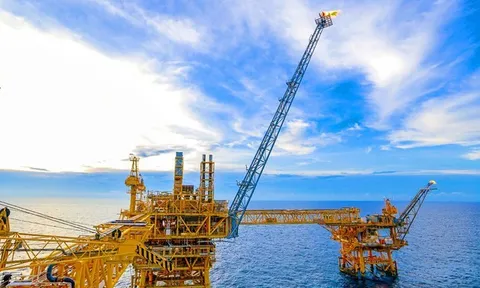 PVS đang giữ hơn 16.800 tỷ đồng tiền mặt