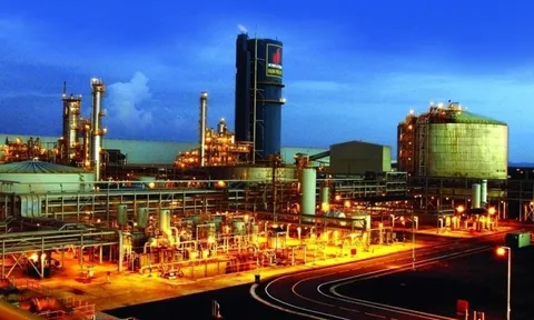 Đạm Phú Mỹ (DPM) báo lãi quý 3 gấp 3,6 lần cùng kỳ, vượt xa kế hoạch năm