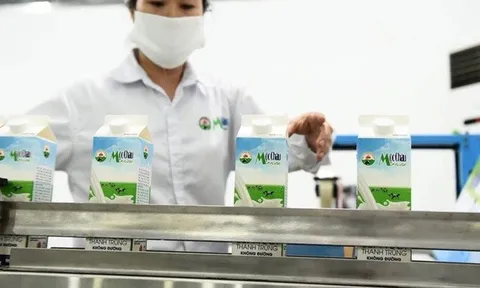 Lợi nhuận lao dốc, Mộc Châu Milk vẫn chi mạnh cho dự án nghìn tỷ