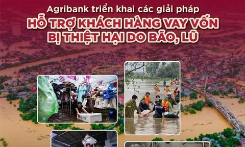 Agribank giảm tới 2%/năm lãi suất cho vay hỗ trợ khách hàng bị ảnh hưởng, thiệt hại do bão, lũ