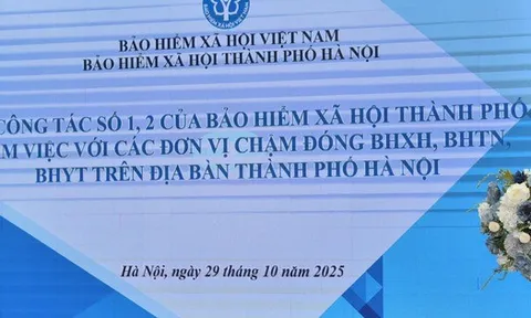 Trốn đóng BHXH, BHTN: Cách tính tiền và số ngày theo quy định mới