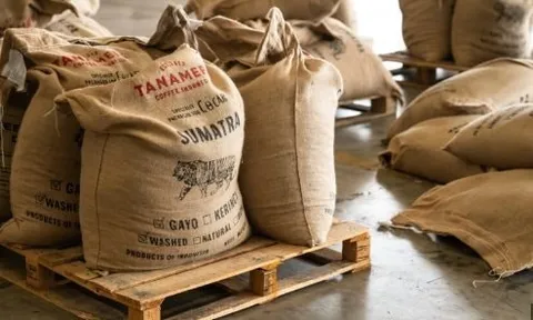 Hàng chục nghìn tấn "sản vật tỷ USD" từ VN ồ ạt sang láng giềng của Mỹ: Nước ta đang Top 2 thế giới