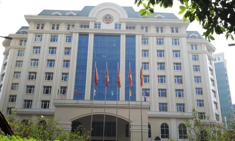 Ngành thuế cấp bách khảo sát, hoàn thiện cơ sở dữ liệu hộ kinh doanh