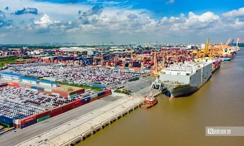 Khu vực FDI tiếp tục chiếm ưu thế về xuất nhập khẩu nửa đầu tháng 8/2025