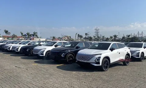 Hãng xe xây nhà máy tại Việt Nam chốt ra mắt 16 ô tô mới năm 2026, chủ yếu là xe xanh