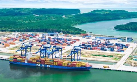 Sở hữu cảng 11.000 tỷ vẫn không được phép nhập khẩu mặt hàng quan trọng, Đồng Nai quyết "xin" quyền