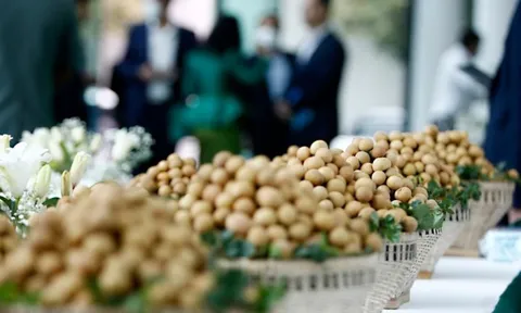 Đặc sản triệu đô của Việt Nam được Trung Quốc siêu mê, mệnh danh là 'vương giả chi quả', diện tích trồng hơn 68.000 ha