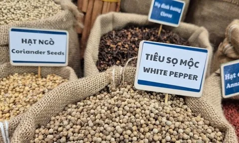 5 ngành hàng tỉ đô kiến nghị Quốc hội gỡ khó