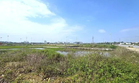 Choáng với giá hơn 12 tỷ đồng một lô đất cấp xã ở Nghệ An