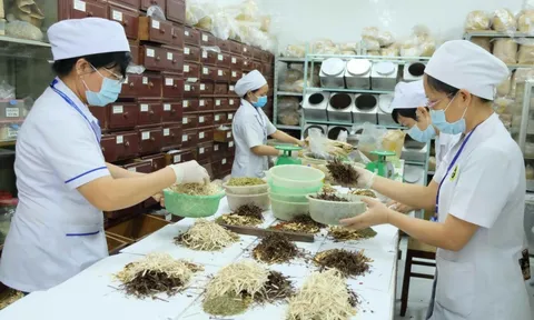 Đề xuất hướng dẫn hoạt động của y học cổ truyền trong cơ sở khám, chữa bệnh