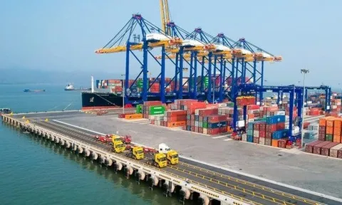 Việt Nam xuất siêu 20 tỷ USD - riêng ngành hàng này đóng góp 18 tỷ USD, nước ta xuất khẩu đứng top thế giới