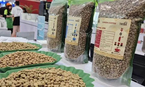 Giá cà phê hôm nay 28-11: Tăng trở lại, Malaysia mê cà phê Việt