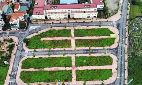 Hà Nội đưa loạt khu đất làm dự án nhà ở thấp tầng lên 'sàn' đấu giá