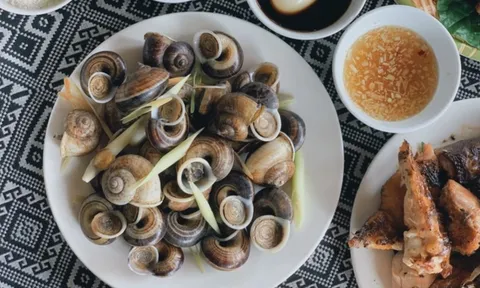 Loài vật tưởng chỉ có dưới nước, ai ngờ còn "bò" lên núi và trở thành đặc sản được săn lùng