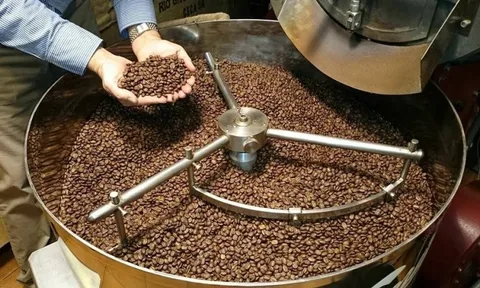 Mỹ vừa làm một điều, mở 'cơ hội vàng' cho loại hạt tỉ đô của Việt Nam tăng tốc chiếm thị phần